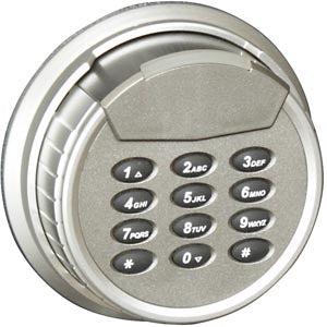 Honeywell 3032D Gun Executive Safe